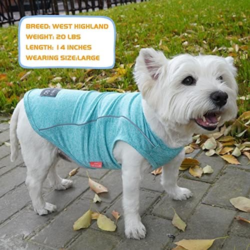 KYEESE Köpek Gömlek Yumuşak Nefes Güneş Koruma Köpek T-Shirt Yansıtıcı Şerit ile Güvenlik Gece Yürüyüş için Tank