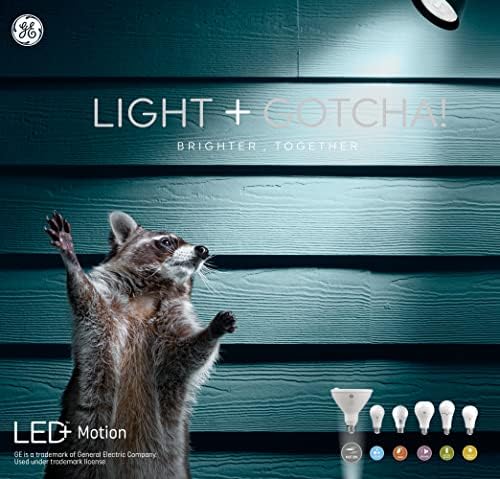GE aydınlatma LED + hareket sensörü ampul, sıcak beyaz, güvenlik ışık, PAR38 açık projektör ampul (1 paket)