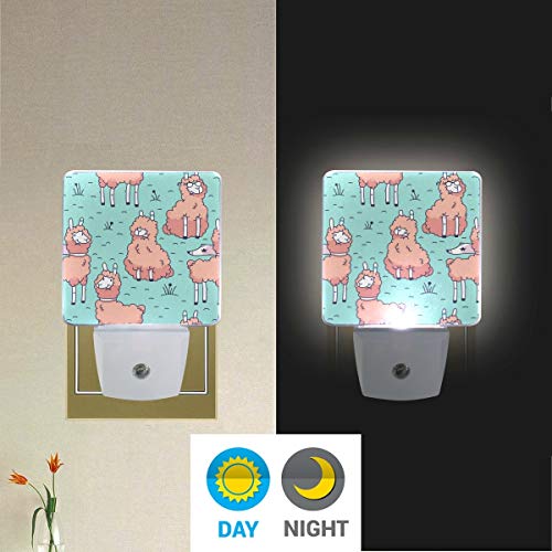 Gece Lambası Alpaka 2 Set Otomatik Sensör LED Alacakaranlıktan Şafağa Gece Lambası Fişi Yetişkinler için Kapalı 2012221