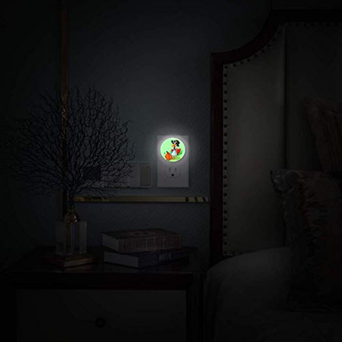 LED Gece Lambası Şükran Günü Renkli Türkiye Kabak Gece lamba fişi Duvar Alacakaranlıktan Şafağa Sensörü 4 Paket
